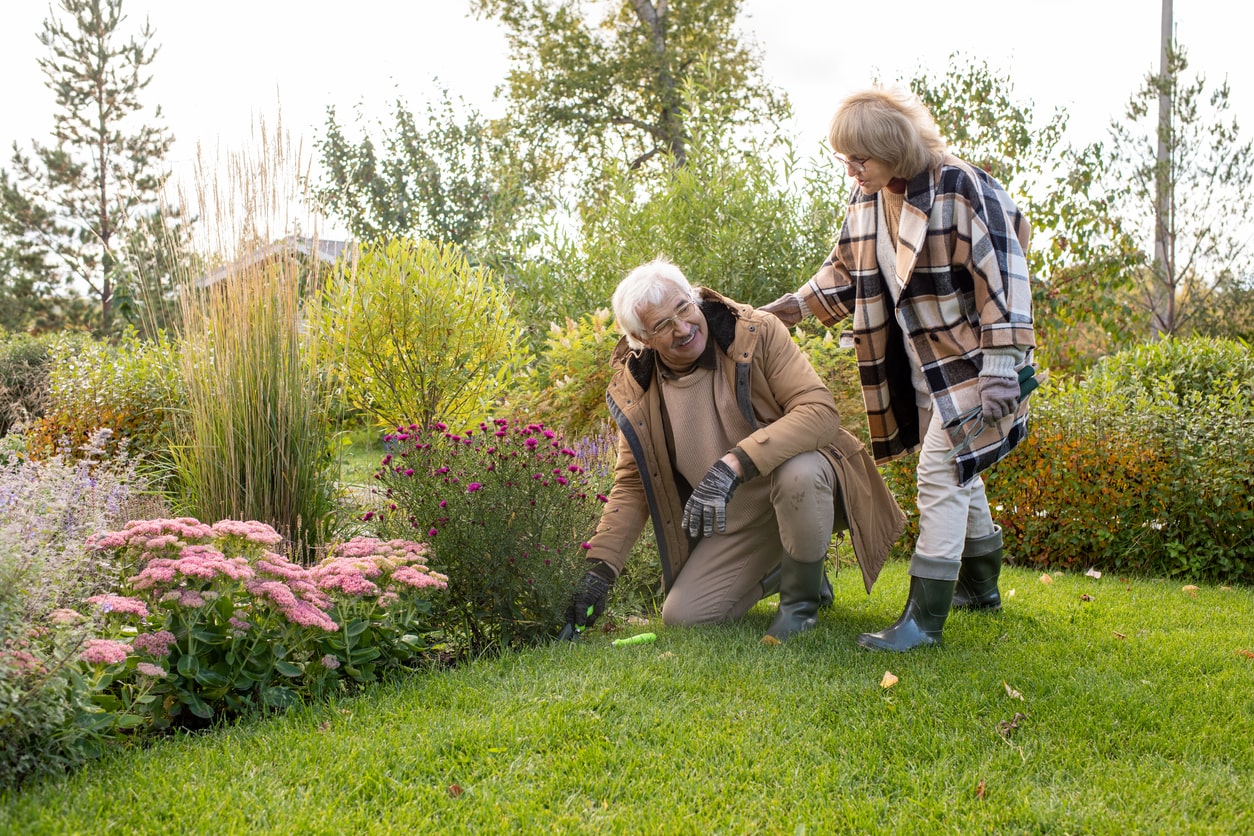 An elderly couple enjoying working in the garden, with no hernia symptoms holding them back.
